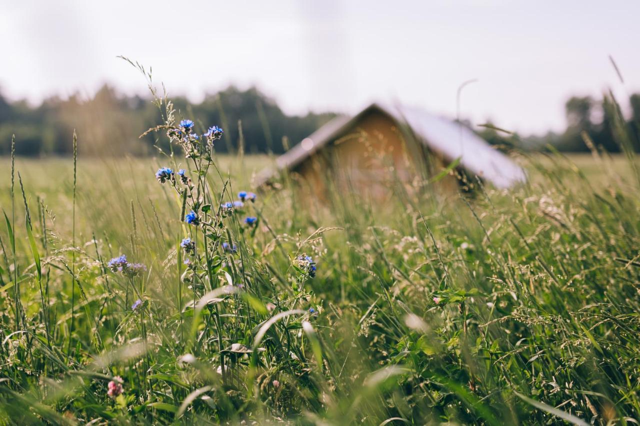 Muuski Glempings Korneti Dış mekan fotoğraf