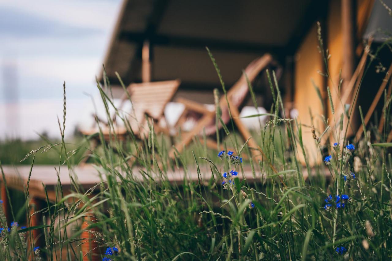 Muuski Glempings Korneti Dış mekan fotoğraf